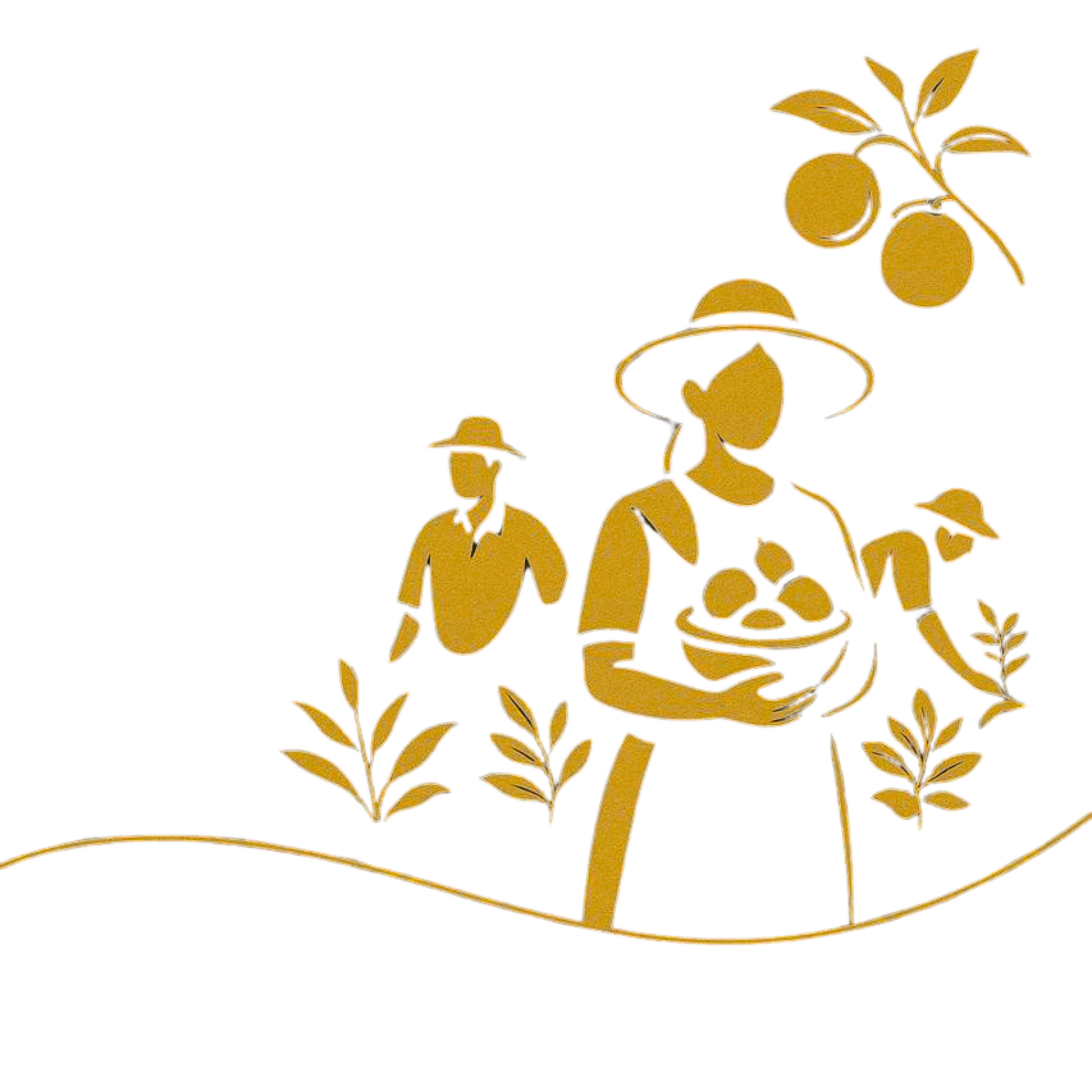 Elite and Beyond - Sustainable Cocopeat Farming