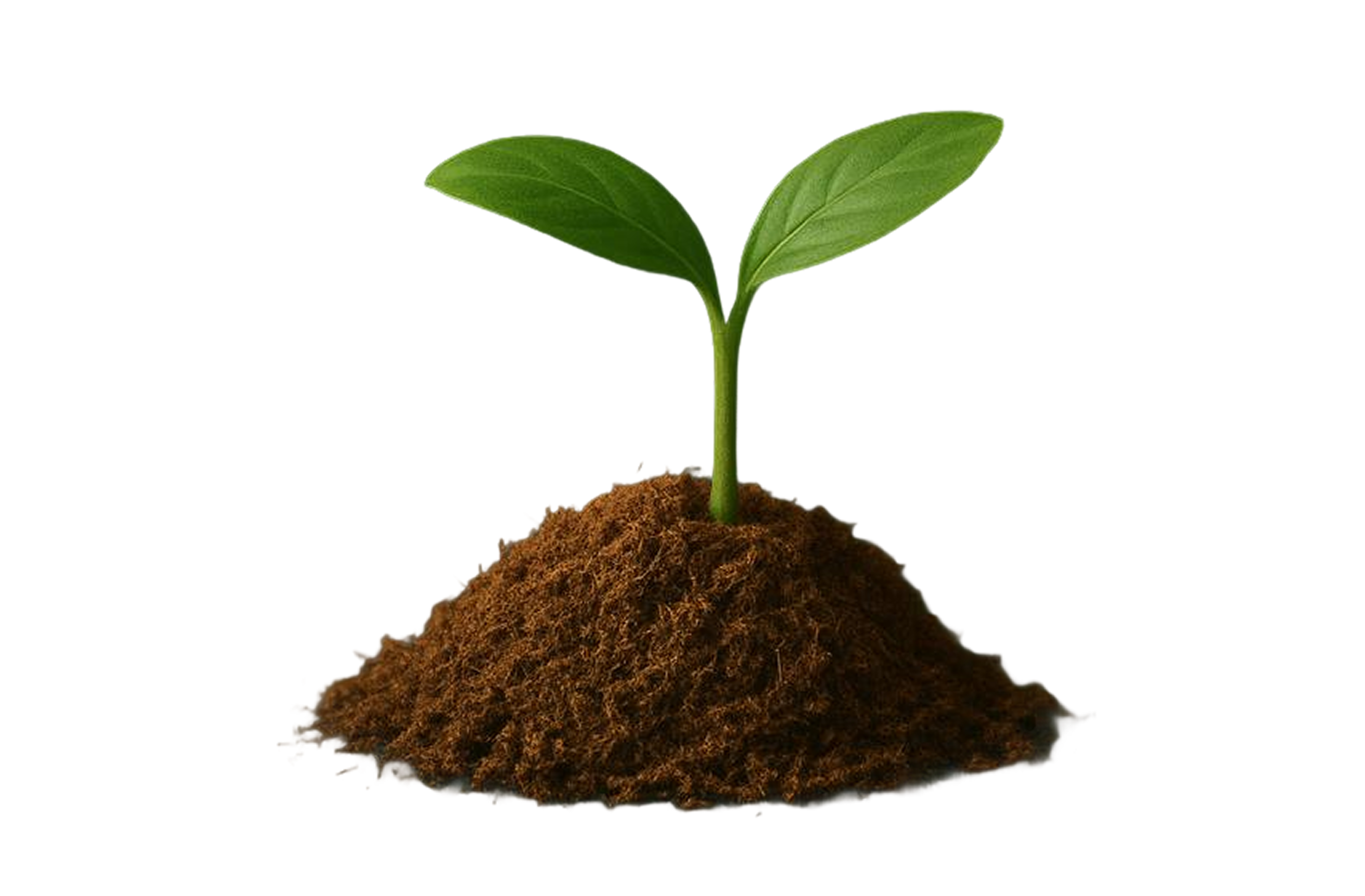 Premium Cocopeat Plant